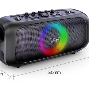 Portable wireless speaker